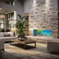 Fair Fires Solution Trueflame 1000 LCD